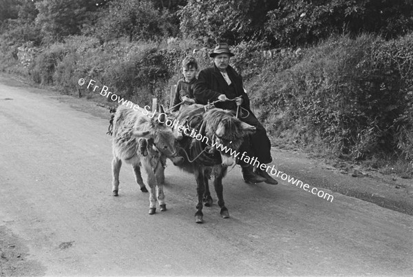 ON THE ROAD NEAR SCARIFF  DONKEY TEAM